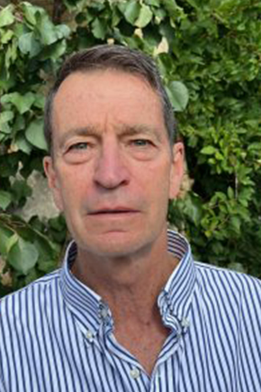 Prof Martin Schulman